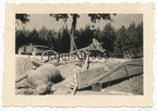 [Z.Kw.Tr.Rgt.602.001] Foto (1) PKW Pferde Kadaver und Feldwagen Wracks bei Schönau in Polen 1939