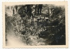 [Z.Kw.Tr.Rgt.602.001] Foto (1) polnische Granaten Munition in der Tucheler Heide Polen 1939 Bory Tucholski