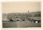 [Z.Kw.Tr.Rgt.602.001] Foto (1) Schlachtfeld bei Schönau polnische Feldküche Pferde Kadaver Wagen Wracks