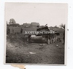 [Z.Pz.Rgt.36.007] (e28) Polen 1939 Panzer Rgt.36 zerst. SDkfz Panzer Tank Sturmgeschütz Emblem