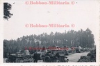 [Z.Pz.Rgt.08.009] X967 Foto Polen Panzer Regiment 8 Vormarsch Panzerkampfwagen Kolonne polish 1939 aw