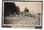 [Z.Art.Rgt.55.002] (u37) Polen 1939 v. Warschau Kanninon Skierniewiece Schlachtfeld gef. Pferde