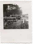 [Vickers][#021][#022][#023][#024]{115}{a} 12.KCzL, okolice Tomaszowa Lubelskiego (na drodze przy lesie) ( 4 x dwuwieżowy ) aw