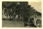 [Z.Art.Rgt.49.002] Orig. Foto Panzer 35 (t) Beute Tank mit polnische Gefangene in Polen 1939 b