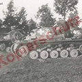 [Pz.Kpfw.II Ausf.C] Pz.Rgt.15, (5.!)#31 (003){a}