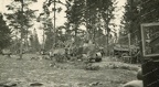 [Z.Inf.Rgt.134.001] (A22) Foto Polen Feldzug polnische Beutefahrzeuge Panzerspähwagen Tank Wehrmacht bw