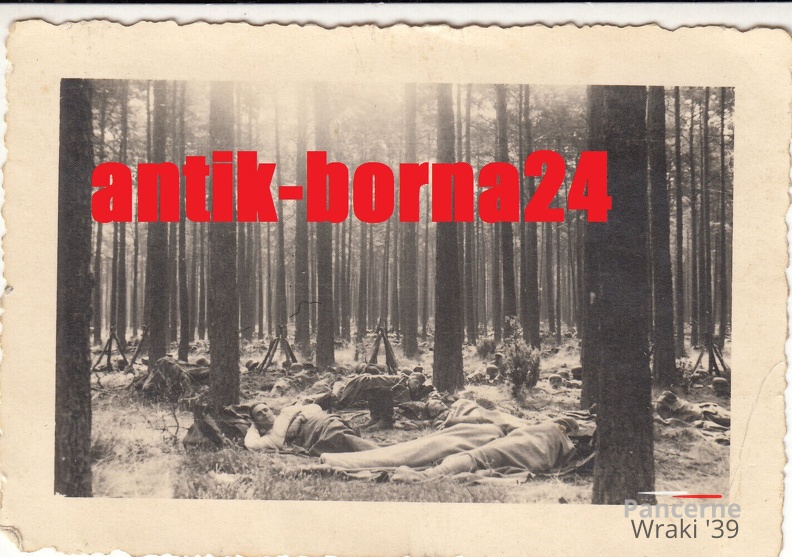 [Z.Inf.Rgt.123.001] G259  Einmarsch Ruhestellung Polen 1939 poln. Grenze aw.jpg