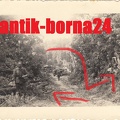 [Z.Inf.Rgt.123.001] G265  Baumsperre Polen 1939 bei Lobsens Łobżenica aw