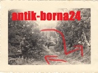 [Z.Inf.Rgt.123.001] G265  Baumsperre Polen 1939 bei Lobsens Łobżenica aw