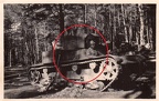 [Z.Kav.Schütz.Rgt.11.001] Abg poln Panzer im Wald Tomaszow Polen 1939 WK2 aw