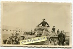 [Z.Pz.Div.03.004] Foto Deutscher Panzer mit Kennung 501 an der Front in Polen im 2.WK