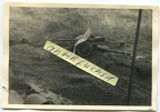 [Z.Pz.Div.03.004] Foto verlassenes Pak-Geschütz aus Polen an der Front in Polen im 2.WK
