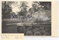 [Z.Geb.Div.02.002] D363 Foto Wehrmacht Polen Feldzug Gebirgsjäger Panzer II Portrait in Gora Rog