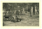 [A.Art.Rgt.027.001] Orig. Foto (9) polnische Beute Pak Geschütz OSIEK b. Oppeln Opole Grenze Polen 1939