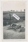 [Z.X0133] (1) Polen bei Sieradz Wehrmacht Soldatengrab 2.WK (8801a) aw