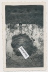 [Z.X0133] (1) Polen bei Sieradz Wehrmacht Soldatengrab 1939 2.WK (8799a) aw