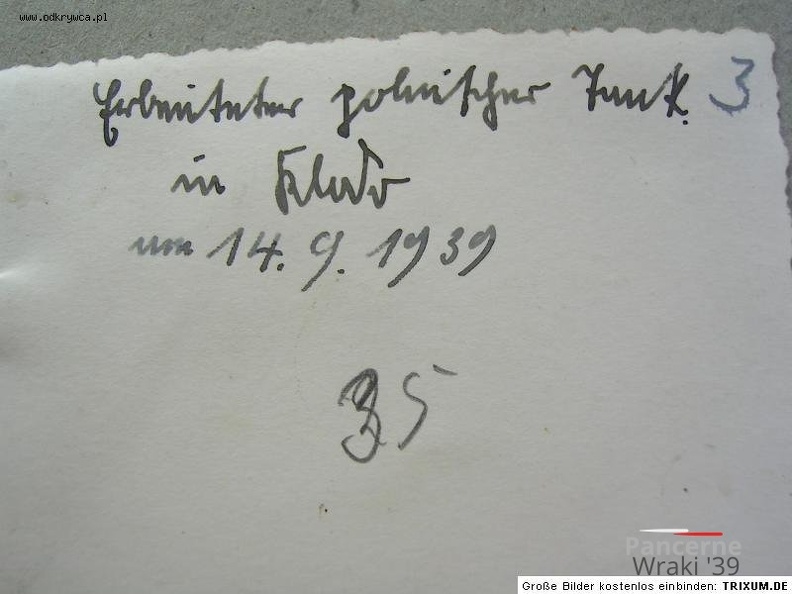 [TKS][#181]{101}{b} 61.SzCzR, Szwadron Śmierci, Konik na biegunach rw.jpg