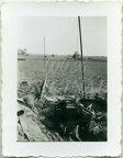 2. leichte Division