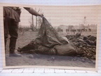 [Z.X0033] H202 Foto 2.WK Wehrmacht Soldat verbrannt durch Polen KIA aw