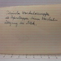 [Z.X0035] H252 Foto 2.WK Polen polnischer Dampfer auf der Wichsel in dt. Hand Flagge rw