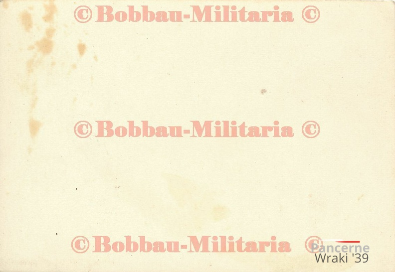 [Pz.Kpfw.II Ausf.C] Pz.Rgt.15, (1.!)#14 (001){a} z boforsem wz.36 (Panzerkampfwagen II weiße Turmnummer 14 Front Vormarsch 1939) rw.jpg