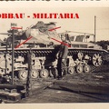 [Pz.Bef.Wg.III Ausf.D], Pz.Rgt.x, #xxx (009){a} #Fitz