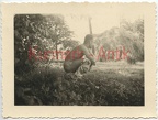 [Z.Inf.Rgt.101.002] E218 Foto Wehrmacht Infanterie Regt.32 Polen Feldzugnackt nude gay popo Motiv
