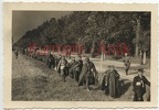 [Z.Inf.Rgt.101.002] E229 Foto Wehrmacht Infanterie Regt.32 Polen Feldzug Portrait POW Gefangene TOP