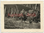 [Z.Inf.Rgt.101.002] E231 Foto Wehrmacht Infanterie Regt.32 Polen Feldzug Beute Flugzeug plane TOP
