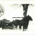 [Z.MG.Btl.01.001] Orig. Foto Pferde schleppen Opel Blitz Lkw b. TUCHEL Tucheler Heide Polen 1939