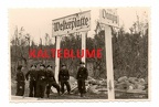 [Z.S0022] 2 WK Panzer Soldaten in Westerplatte Danzig aus Fotoalbum Panzer Regiment 7 aw