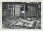 [Z.Pz.Rgt.05.004] 6. Panzer Lehr Regiment Waldlager Zossen bei Berlin 1939 aw