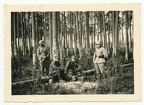 [Z.BA.31.002] Foto Soldaten der Wehrmacht mit gefangenen polnischen Soldaten in einem Wald ...