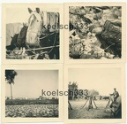 [Z.Inf.Rgt.82.001] 4 Fotos Infanterie Reg. 82 Polenfeldzug 1939 Landser beim Nickerchen ! Pferde !
