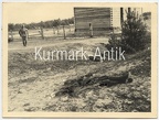 [Z.Flak.Rgt.38.001] E820 Foto Wehrmacht Polen Feldzug Flak Regt. 38 Sanitäter medic kia Soldat VWA !