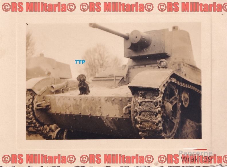 [Z.X0087] #8 polnische BEUTE _Sammelstelle Panzer 7TP + Dackel Foto Schubert BRESLAU aw.jpg