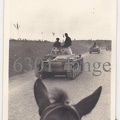 [Pz.Kpfw.II Ausf.C] Pz.Rgt.15, (5.!)#43 (001){b}