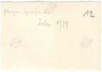 [Z.X0103] Foto 1303 WH Panzer greifen an Panzer II Region Dęblin Polen 1939 2.WK orig. rw