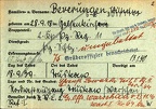 [Pz.Rgt.11] Panzerschütze Wilhelm Beverungen (014){a} aw