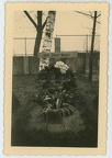 A.Pi.Btl.57.001 Pionier-Bataillon 57 (1. leichte Division) Friedhof WARSCHAU Powazki Polen 1939