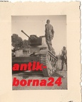 [7TP][#202]{016}{a} 2.BCzL, Wola Krzysztoporska (pierwszy, z dziurą, spalony), później Berlin-Spandau (A.Inf.Rgt.012.003) aw