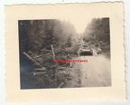 [Z.Pz.Abt.67.004] [Z.Pz.Abt.67.004] Panzer Abt. 67 Skoda Panzer Waldweg in Koschentin Polenfeldzug 1939 aw