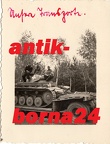 [Z.Pz.Rgt.35.006] #215 Foto Pz.Rgt. 35 Panzer Tank Pz. I Tieflader Vormarsch 1939 Polen aw