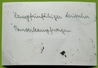 [Z.Art.Rgt.059.001] A.R. Rgt 59, polnischer Panzer Gąbin Polen 1939 rw
