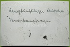 [Pz2][#332]{006}{a} Pz.Kpfw II Ausf.C, Pz.Rgt.36, #111, okolice Sochaczewa (A.Art.Rgt.059.001) rw