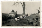 [Z.X0127] Foto 2 Panzer I Durchfahrt Senke Polen 1939