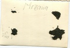 [PSW][#560]{009}{a} s.Pz.Sp.Wg (FU) Sd.Kfz.232 (8 Rad), Aufkl.Abt.8, WH-193247, okolice Wodzisławia Śl., spalony, między białymi słupkami (A.X0128) rw
