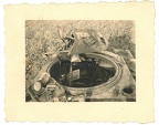 [Z.Pz.Rgt.35.007] Orig. Foto zerstörte Panzer Tank des Pz.Rgt.35 in Polen 1939