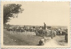 [Z.Schütz.Reg.14.002] A597 Foto Wehrmacht Polen Feldzug Panzer Abtl.. 3.9.1939