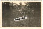 [Z.Schütz.Rgt.02.002] Foto 2.PD SR2 (00) Vorabend Angriff Polen Trstená August 1939